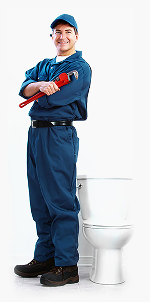 desentupidora fênix